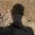 Tony Tedford's profile image