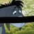 Nate Truitt's profile image