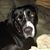 Tracy May-Tice's profile image