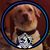 Christopher Connelly's profile image