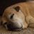 Braden Grayless's profile image