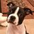 Rachael Ann Kipphut's profile image
