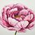 Tonya Hornbuckle-Freeland's profile image