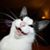 Wendy Dominguez's profile image
