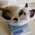 Eileen Lenahan Stevens's profile image