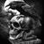 Morgan Odonohue's profile image