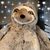 Valerie Ann Brown-Greenly's profile image