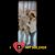 Jimmie N Kesha Jones's profile image