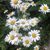 Jane Wolking's profile image