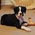 Marsha Brownlee's profile image