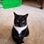 Lucille Peterson's profile image