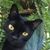 Mary Turner's profile image