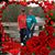 Judy Miller's profile image