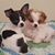 Susan Greenlees Carter's profile image