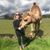 Nicole McCance's profile image