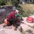 Active Plumbing-Drain Cleaning's profile image