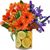 Sheila Dial's profile image