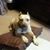 Pamela J Smith Davis's profile image
