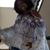 Cyndi Morina's profile image