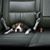 Laura Larkin's profile image
