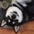 Debra Rowell's profile image