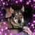 Jenn Green's profile image