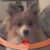 Jannis Waters's profile image
