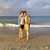 Sandra Holbrook's profile image