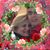 Blanca Millan's profile image