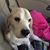 Lynda Martin's profile image