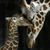 Belinda Smith's profile image