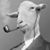John Ady's profile image