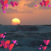 Sandy Coombes Distad's profile image