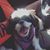 Jen Millonida's profile image