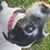 Mary Jo McCauley's profile image
