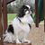 Donna Mowery's profile image
