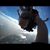 Christine Ann Mortorff's profile image