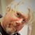 Jerry Forrester's profile image