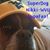 Jeff Thad Crowe's profile image