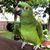 Dorothy Wooley's profile image