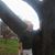 Joseph Korb's profile image