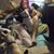 Tamyra Gatlin's profile image