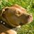 Kathy Cox Gross's profile image
