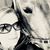 Diane Vogelzang's profile image