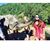 Sharon Cao's profile image