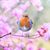 Mary Huskey's profile image