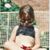 Tara Hampson's profile image