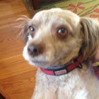 Mary MacWilliams's profile image