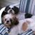 Deb Zizelman's profile image