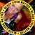 Michelle Stoltz's profile image